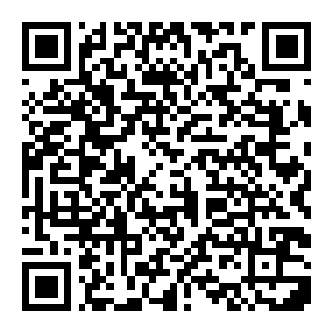 图片[2]-【修改器】亰都幻都 樱花幻舞-电玩纪元