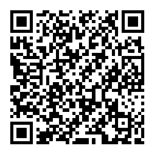 图片[2]-【修改器】杀戮尖塔2-电玩纪元