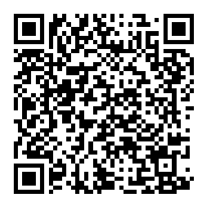 图片[2]-【修改器】动物园之星-电玩纪元