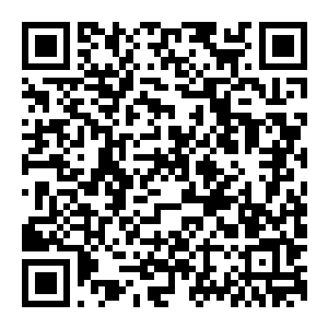 图片[2]-【修改器】都市天际线2-电玩纪元