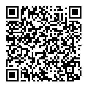 图片[2]-【修改器】生化危机3重制版-电玩纪元