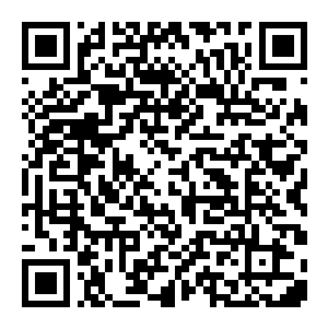 图片[2]-【修改器】欧陆风云5-电玩纪元