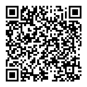 图片[2]-【修改器】信长之野望14-电玩纪元