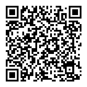 图片[2]-【修改器】艾尔登法环 黑夜君临-电玩纪元
