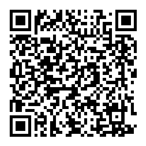 图片[2]-【修改器】信长之野望 新生-电玩纪元
