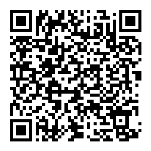 图片[2]-【修改器】怪物猎人物语3 命运双龙-电玩纪元