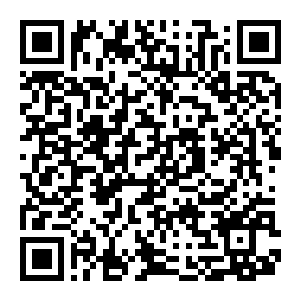 图片[2]-【修改器】森林之子-电玩纪元