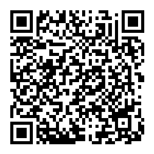 图片[2]-【修改器】怪物猎人 荒野-电玩纪元