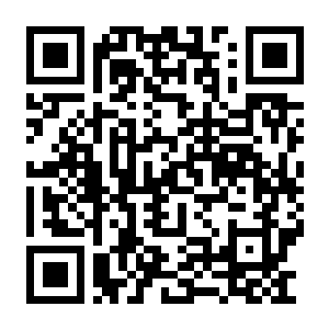【PC】梅莫莉 治愈物语 Build.24350951 官方中文版+全DLC-电玩纪元
