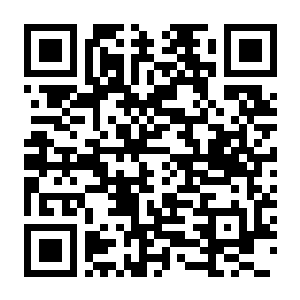 【PC】城市巴士模拟器2026 Build.24184201 官方中文版+全DLC-电玩纪元