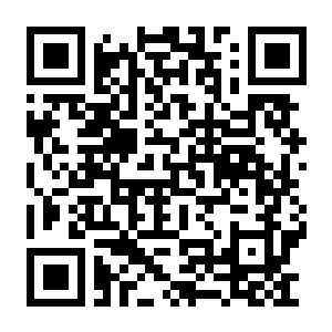 【PC】瓦格鲁斯 – 万壑之地 Build.24520458 官方中文版 容量5.09GB(Vagrus – The Riven Realms)-电玩纪元