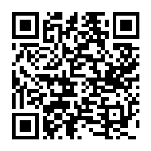 【PC】信长之野望15 大志 威力加强版-电玩纪元