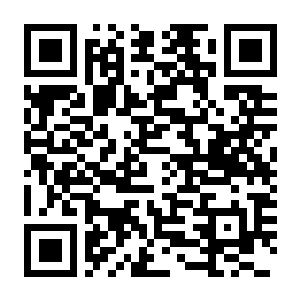【PC】虚无之塔 Build.24109750 官方中文版+全DLC-电玩纪元