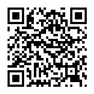 【PC】Go-Go Town! Build.24235188 官方中文版+全DLC-电玩纪元