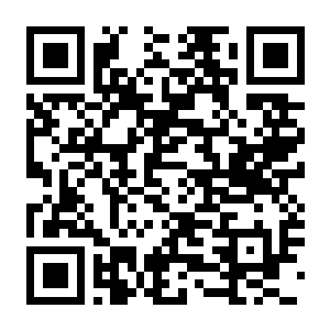 【PC】动物园之星 Planet Zoo 豪华中文版+全DLC+修改器-电玩纪元