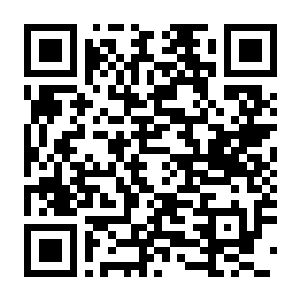 【PC】东方幕华祭 永夜篇 Build.24014363 豪华中文版+全DLC-电玩纪元
