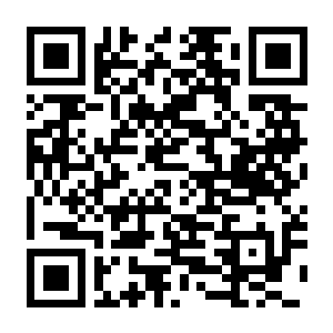 【PC】银白钢铁X 1+2 双重收藏辑 v1.0.2 豪华中文版+全DLC-电玩纪元
