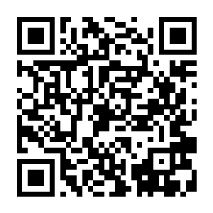 【PC】信长之野望 系列全收录 1-14代经典合集-电玩纪元