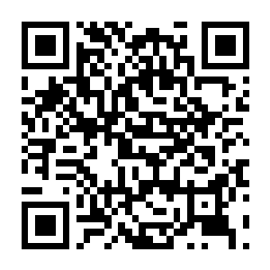 图片[2]-【独立游戏/小游戏】26年7月26日合集，能搜到就是在这里面，共7个-电玩纪元