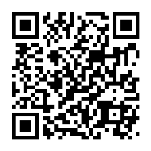 【PC】拉尔斯·加迪尔 LarsGadiel Build.24317868 官方中文版+全DLC-电玩纪元
