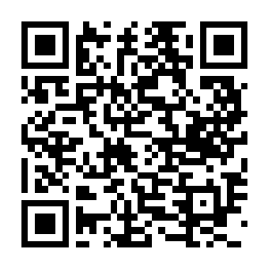 【PC】云霄一刻 High Times Build.24358032 官方中文版+全DLC-电玩纪元