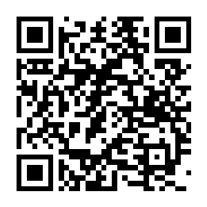 【PC】挂机猫猫传 Idle Kitty Build.24167955 官方中文版+全DLC-电玩纪元