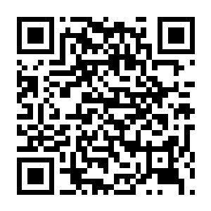 【PC】二向乱斗 Build.24056381 官方中文版+全DLC(DichrowarMelee)-电玩纪元