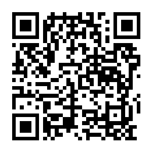 【PC】道途百劫 Build.24207044 官方中文版+全DLC-电玩纪元