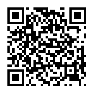 【PC】末世信使 Build.24400624 官方中文版+全DLC-电玩纪元