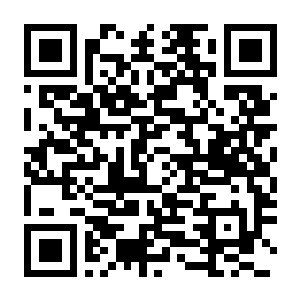 【PC】数码宝贝物语 时空异客 v26.07.09 豪华中文版+手柄问题修复+预购特典+全DLC+支持手柄-电玩纪元