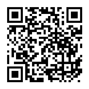 【PC】角斗士经理模拟器 Build.24341877 官方中文版+全DLC-电玩纪元