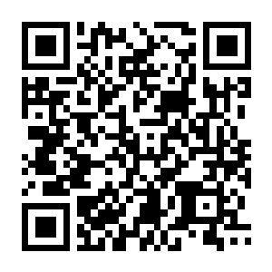 【PC】无尽劫掠 Build.24395657 官方中文版+全DLC-电玩纪元