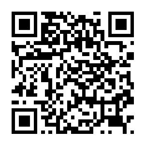 【PC】静谧田园 Build.24441724 官方中文版+全DLC(Village in the Shade)-电玩纪元