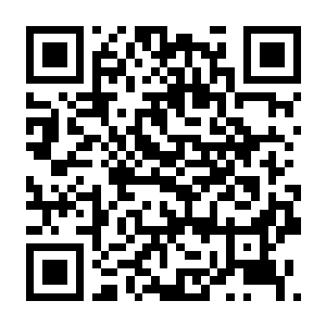 【PC】荒域奇谭 Build.24311592 官方中文版+全DLC-电玩纪元