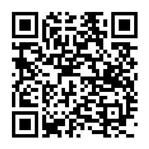 【PC】技能与突袭 Build.24442013 豪华中文版+全DLC（Skills&Raids）-电玩纪元