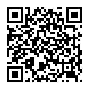 【PC】艾恩葛朗特 回荡新声 Build.24234051 豪华中文版+预购特典+全DLC-电玩纪元