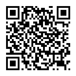 【PC】森林之子 Build.20228174 官方中文版+罪恶营地+修改器-电玩纪元