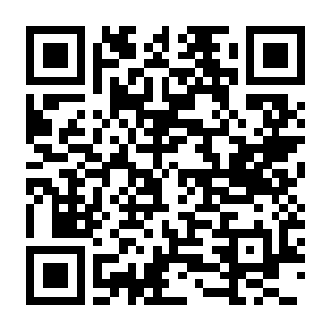【PC】武装博弈 Build.24044935 官方中文版+全DLC-电玩纪元