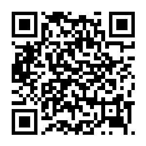 【PC】巨像 蚀世之灾 Build.24316648 官方中文版+全DLC-电玩纪元