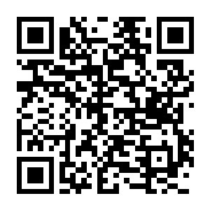 【PC】电竞经理2026(Esports Manager 2026)-电玩纪元