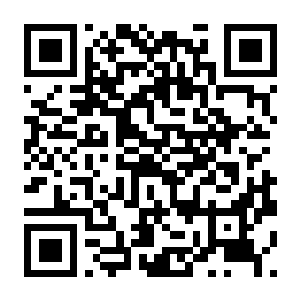 【PC】地毯清洗模拟器 v1.01 官方中文版-电玩纪元
