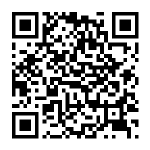 【PC】轮盘地牢 Build.24180969 官方中文版+全DLC-电玩纪元