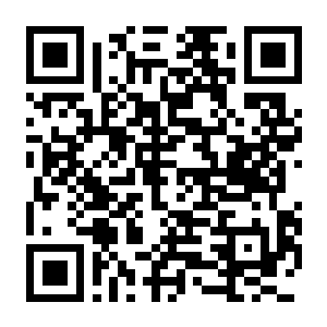 【PC】喵喵角斗士 v1.0.4 官方中文版+全DLC-电玩纪元