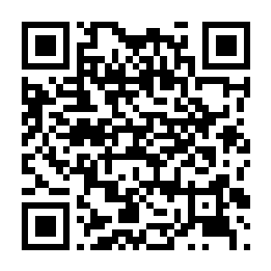 【PC】韩流偶像故事 出道之路 Build.24261286 官方中文版+全DLC-电玩纪元