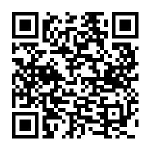 【PC】潜行者 三部曲 Build.24067129 豪华中文版+全DLC-电玩纪元