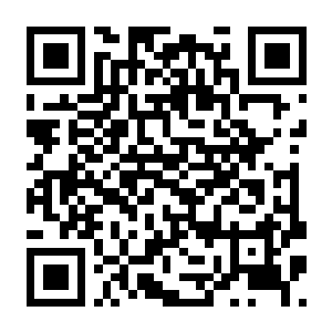 【PC】无尽爱丽丝 v0.2.14 豪华中文版+全套皮肤+全DLC-电玩纪元