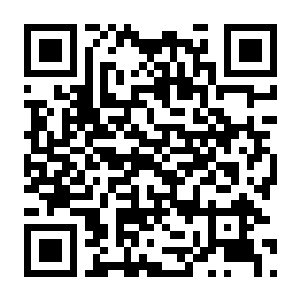 【PC】光环 无限 v6.10020.17952.0 含战役DLC+豪华中文版+全DLC-电玩纪元