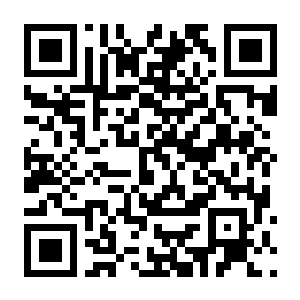 【PC】骸骨要塞 Bonehold Build.24412025 官方中文版+全DLC-电玩纪元