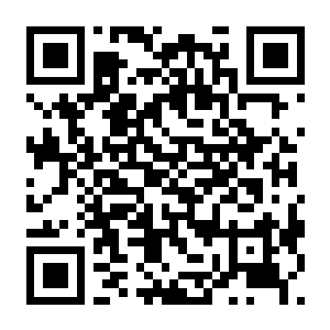 【PC】失落权柄 Build.24290328 官方中文版+全DLC-电玩纪元