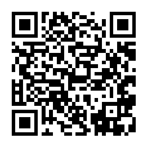 【PC】猫咪邮政 支持联机 Build.24146559 官方中文版+全DLC(Cat Mail Co.)-电玩纪元